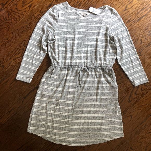 COLDWATER CREEK Women’s Soft Grey Stripe Long Sleeve Dress With Pockets Size XL - Picture 11 of 12